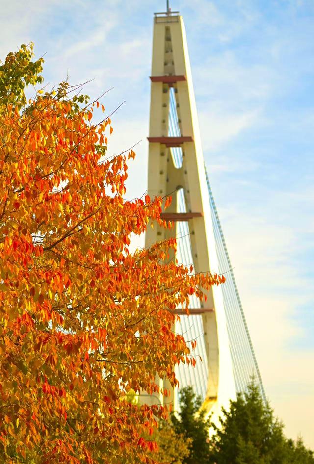 秋之彩色吉林 | 长春深藏一片“工业金秋”