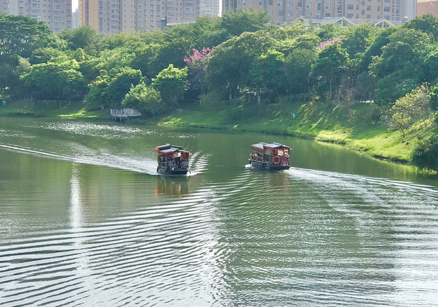负氧离子爆表！绶溪荔林、郊野溪谷、莆阳福道，解锁莆田 “森” 呼吸新方式