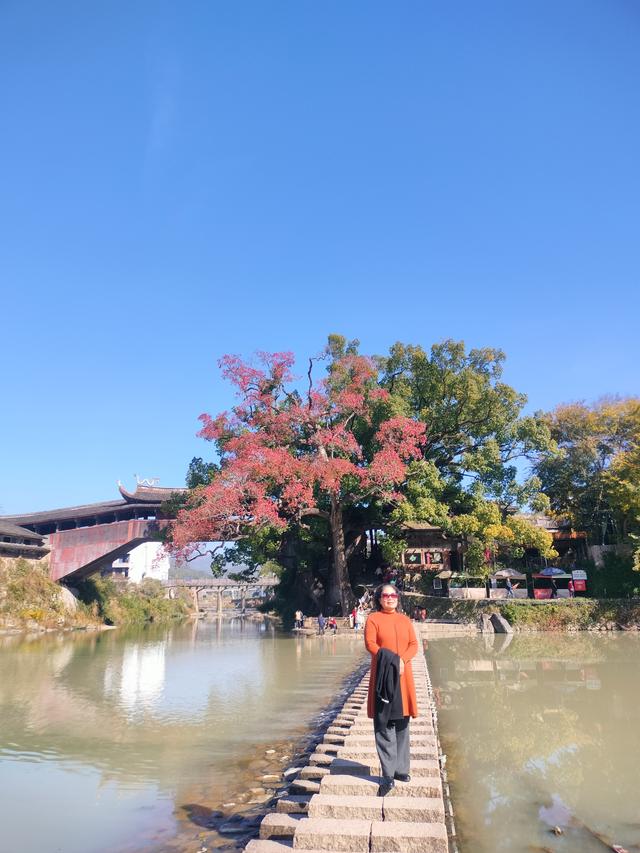 瓯越风情（二）：泰顺·廊桥遗梦与山乡暖意