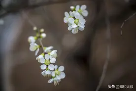 真正厉害的女人，身上会有3种能力，让自己越活越好图片