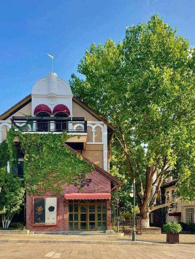 昆明藏了个“小巴黎”！不花钱get法式浪漫，天晴就出发！