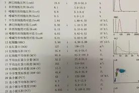 血常规上这三项异常，八成就是血液病图片
