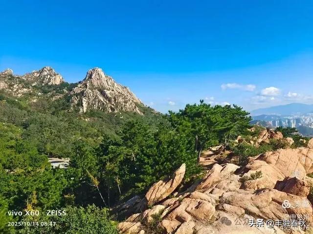 浮山漫记:藏在青岛城央的自然诗篇|申艳娟