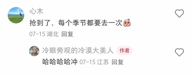 好评如潮！徽州有礼·黄山旅游年卡也太太太棒了！| 皖美夏日