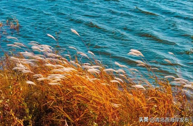 走不出这画了，我已被西海岸的秋景迷倒 🥹