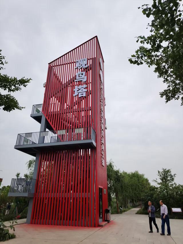 文/吴大升：天门张家湖，湖北省内保持原生态最好的湖泊之一