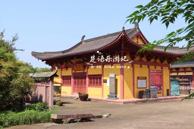宁波奉化的秋天童话世界，粉黛花海唯美浪漫，周边近10处风景更美