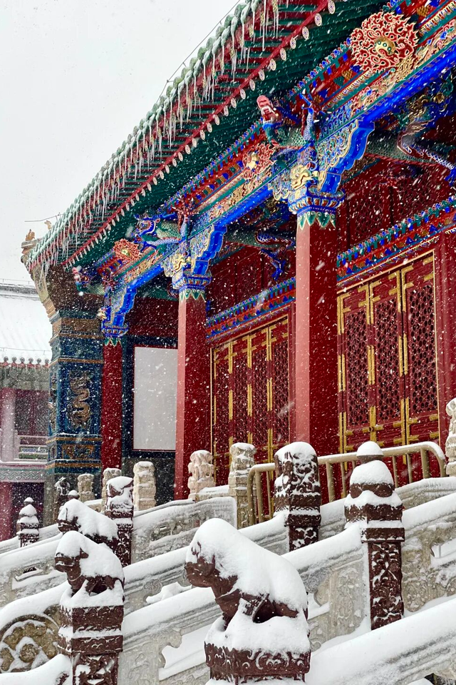 哥儿几个亮IP！大东北欢迎您！