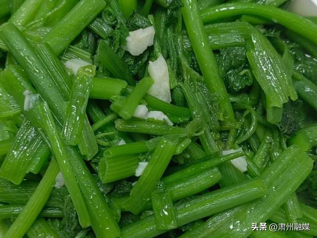 肝火旺盛时，八道素菜可以多吃，解腻美味，降低肝火，老少都爱吃