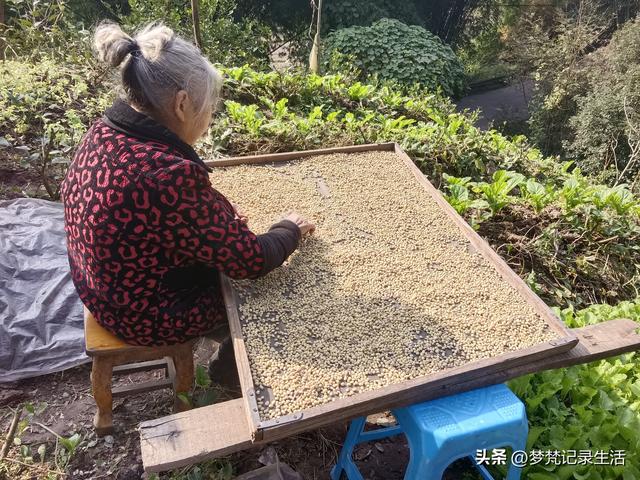 我妈安排的事是我支持的我就会满心欢喜地去做，不支持的就很反感