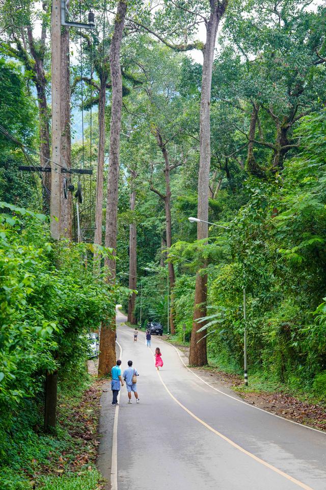 泰国北部秘境，清道，慢生活旅行者的天堂