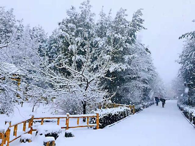 “大雪多不多	，就看立冬”，今日立冬，今年冬天雪多冷到哭吗？