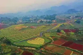 科技小院赋能，北碚三圣桃花分外红图片
