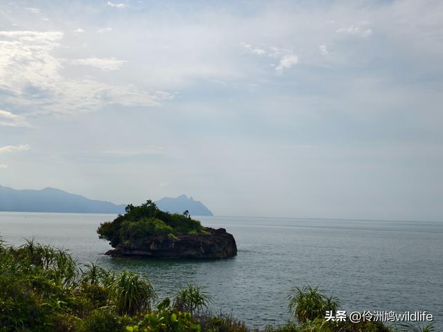 马来西亚(35)砂拉越州⑨峇哥国家公园徒步线路