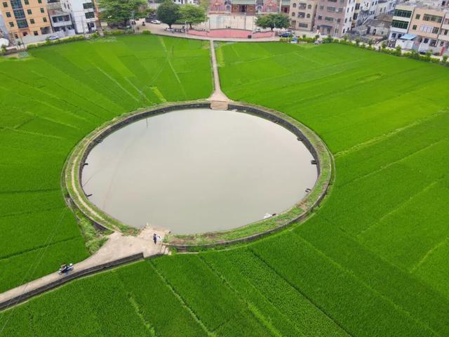 藏在海口秀英的太极村，400年历史古村落，一年四季有不同的美