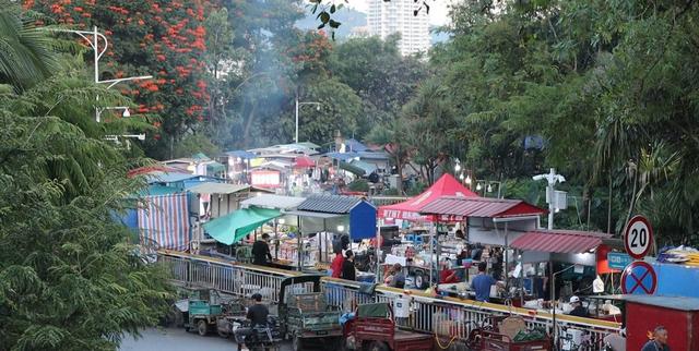 西双版纳夜市尝虫子，当地人口中的美味，白象沙滩等你来
