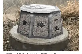 杭州保姆纵火案，男主人林生斌为何会成为怀疑的对象——始末梳理图片