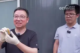 两上央视！扬州成功放飞三只被救助的东方白鹳图片