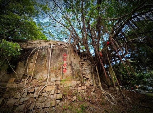 厦门所城墙遗址公园，是一座文物保护与公共休闲功能的专类公园