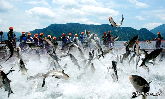 剑潭秋光里的千年回响