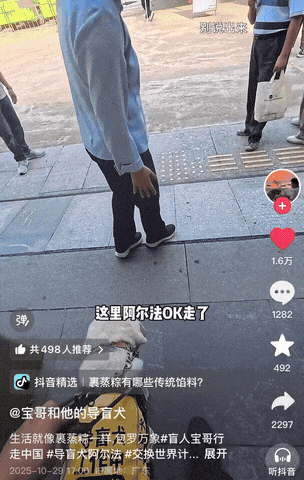 百万粉丝达人宝哥携导盲犬游览鼎湖山，直呼：空气好清新！