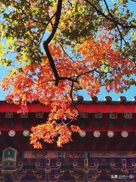 Deepseek和百度AI共同推荐北京红叶区：到北京旅游至少要去三个。