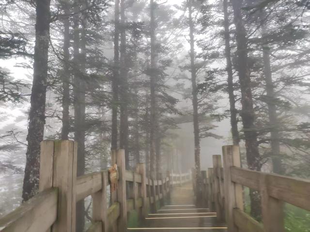 成都周边的雪山景区，气温凉爽景色壮美，黑色“藏乌梨”是个坑
