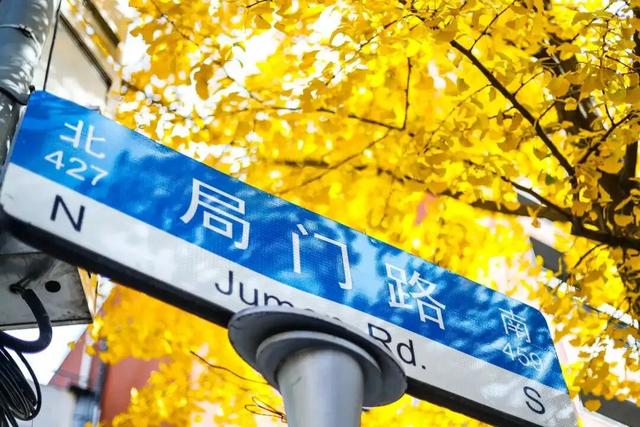 出片率100%！上海人都在找这个“限定露台”！这条“银杏大道”好拍又好吃！