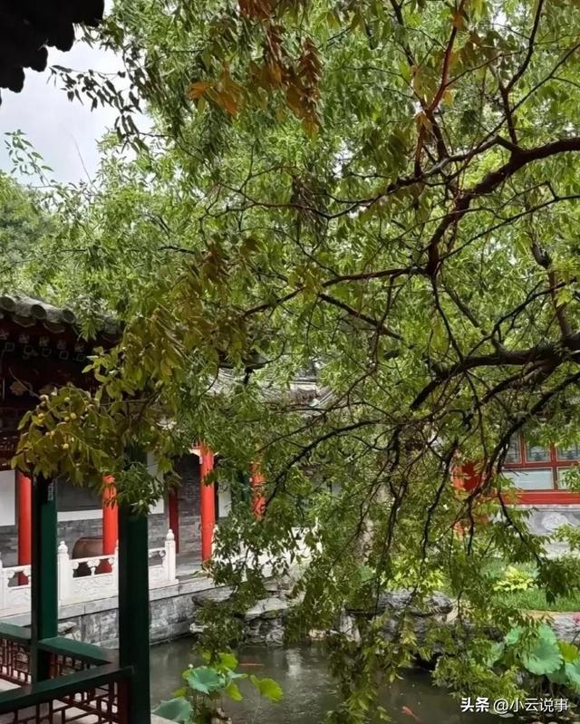 李湘终于晒出北京小院，古色古香似现实版大观园