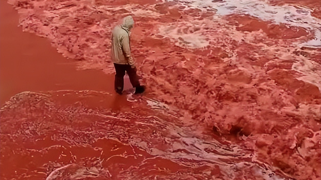 大凶之兆出现？圣经末日预言应验	，波斯湾海水血红色，怎么回事？