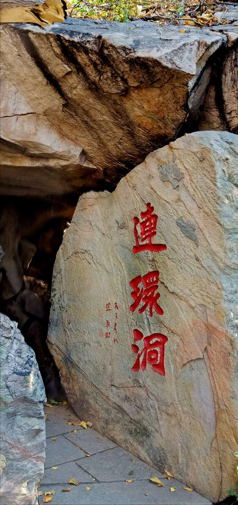 江苏有座海滨小城，4月鲜花开满山头，却被99%的游客路过