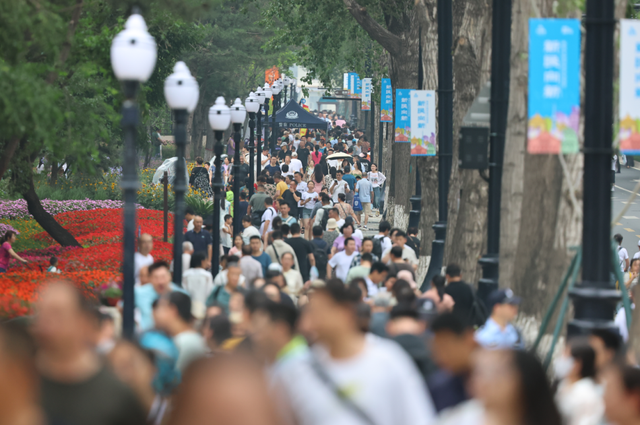 再登央视！《朝闻天下》“活力中国调研行”聚焦长春新民大街
