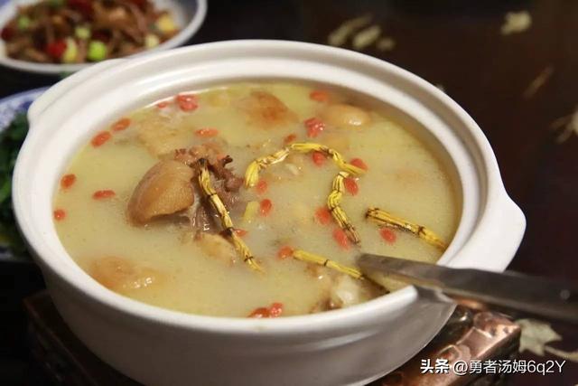 十大石斛排名 十大石斛排名图片