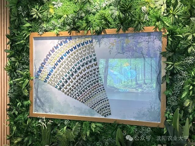 今天起免费开放！沈阳新开一家博物馆！