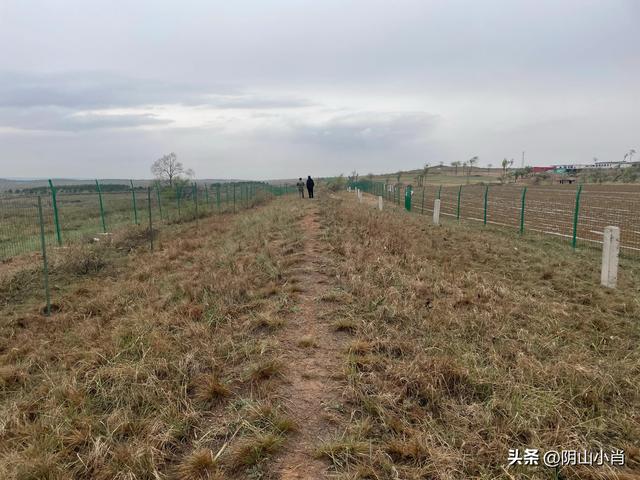 鄂尔多斯市达拉特旗田野考察笔记