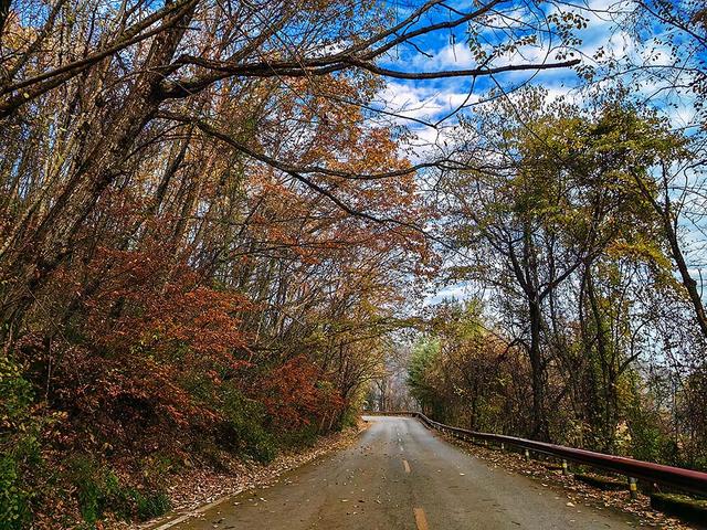 2024深秋四川行19 神农架风景区2 华中屋脊的五彩秘境