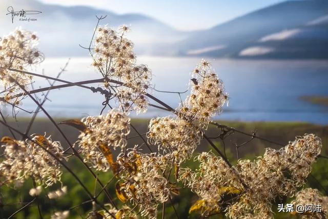 大理有个水库跟金沙江相通,风光潋滟,是本地人露营的宝藏去处