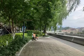 入境香港能带多少现金图片