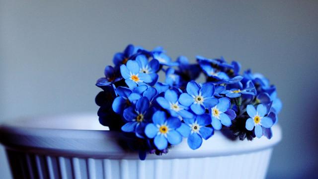 属猪，11月26号至30日会有事发生，你知道了吗？