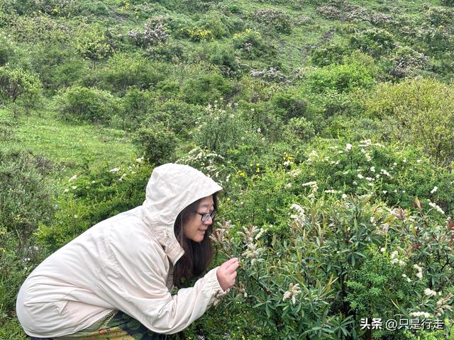 2025年甘南自驾游（六）：最美江南独库路，若诗若画美花湖