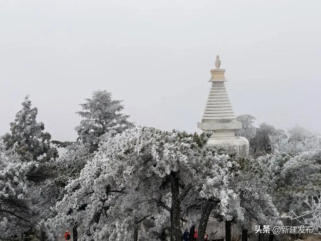 江西多地出现大片雾凇！马上又要反转！即将升温→