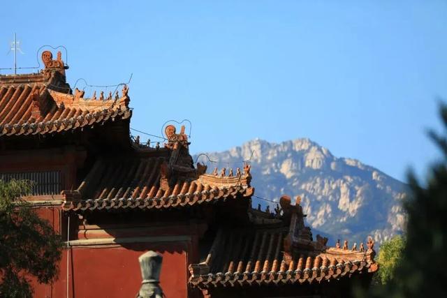 千万别在秋天来泰安，不然真的很难戒断