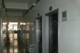 东莞一女子失联，闺蜜异地报警求救图片