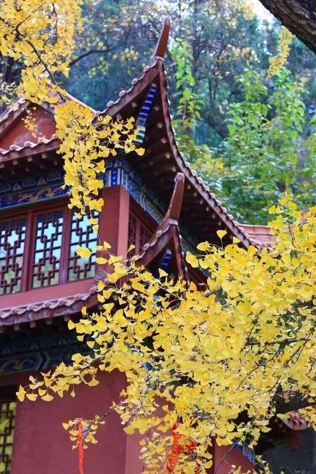 此刻的临沂，把清欢藏进风景里