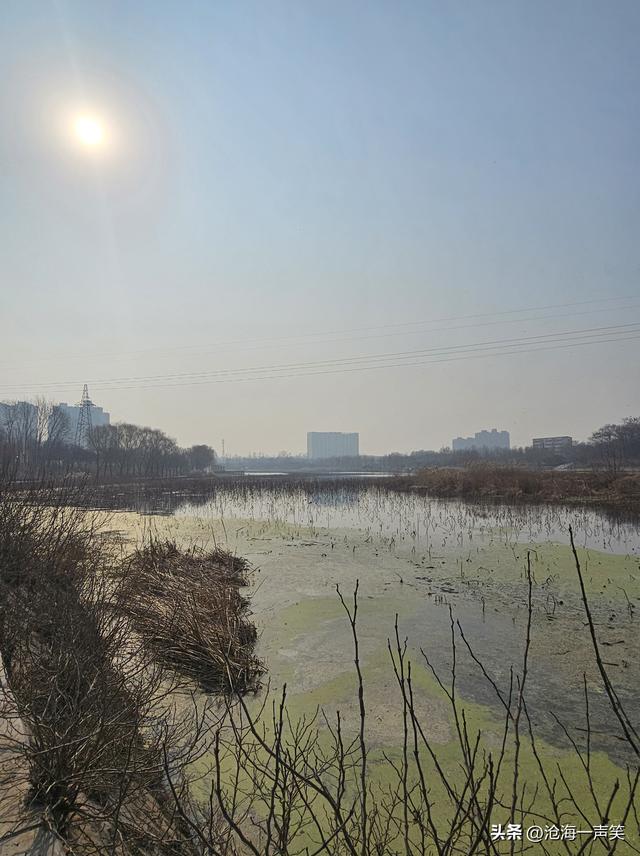 寒风袭袭，看塞上江南，水乡如画，美不胜收，风景秀丽，景色宜人