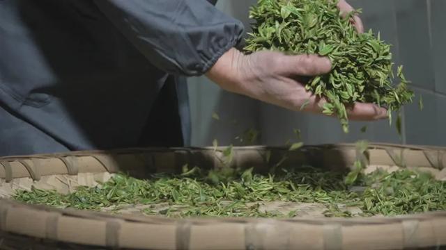 地名里的重庆 | 铜梁巴岳山:从巴川名山到天然氧吧