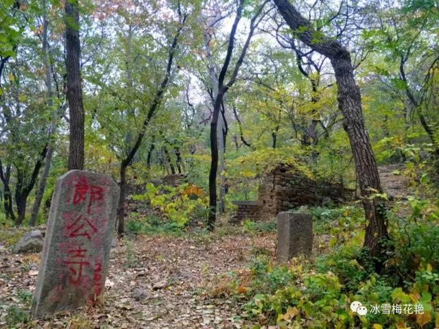 秋游大宗山朗公寺