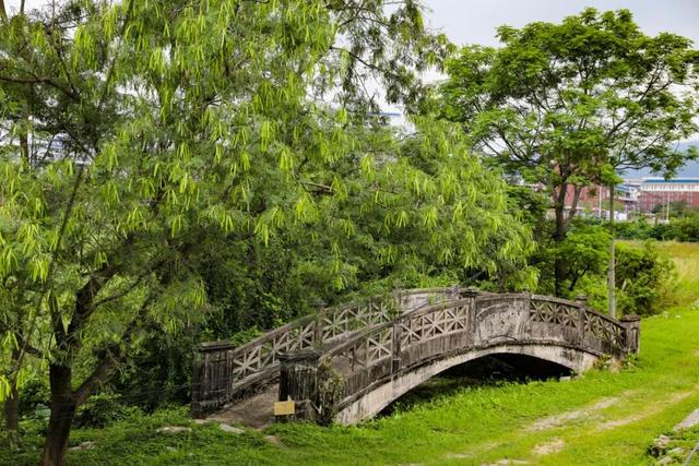 10个文旅项目签约！肇庆又添好去处，就在……