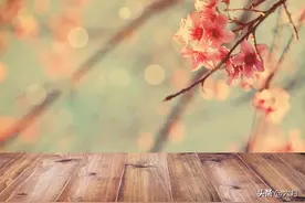 移植肾功能能维持几年？我以自身的经历告诉你图片