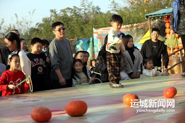 野趣“南瓜节” 等你来打卡